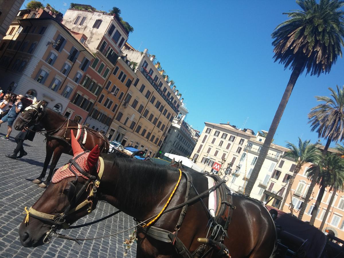 Gasthuis Piazza Di Spagna De Charme Rome
